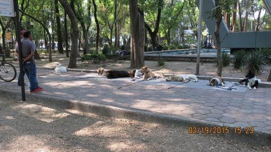 El Ángel de la Independencia